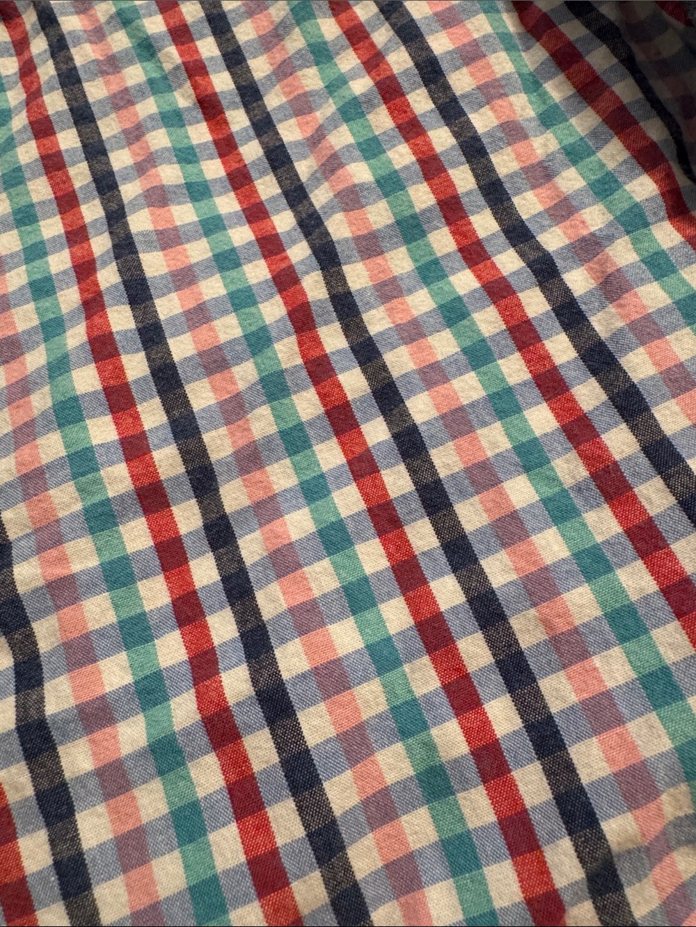 Button-Down Shirts - Picture 8 of 8